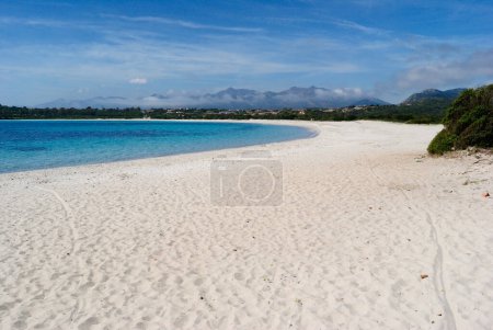 Photo for The beach of Lu Impostu in San Teodoro - Royalty Free Image