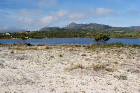 Photo for The beach of Lu Impostu in San Teodoro and its pond - Royalty Free Image