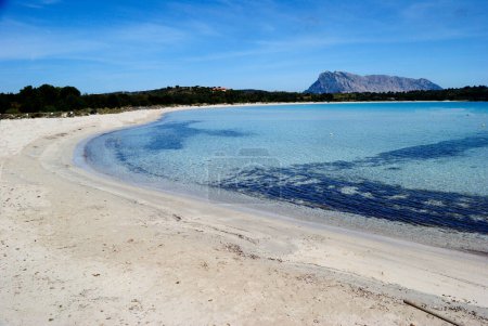 Photo for The beach of Cala Brandinchi in San Teodoro, in background the island of Tavolara - Royalty Free Image
