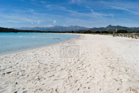 Photo for The beach of Cala Brandinchi in San Teodoro - Royalty Free Image