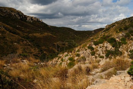 Photo for Panorama from Capo Figari - Royalty Free Image