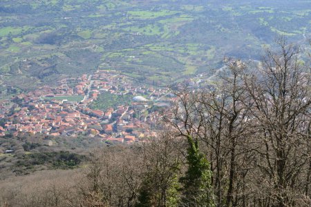 View of Bono town from Monte Rasu