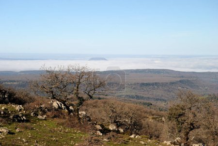 Panorama vom Monte Rasu