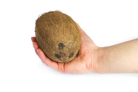 Photo for Beautiful and delicious coconut in hands on a white background - Royalty Free Image