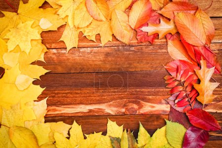Foto de Hojas de otoño sobre fondo de madera con espacio para copiar - Imagen libre de derechos