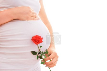Foto de Chica embarazada sobre un fondo blanco con rosas - Imagen libre de derechos