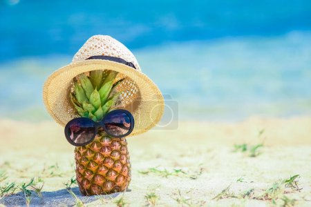 Téléchargez les photos : Ananas dans la nature près de la mer sur le rivage fond de la nature - en image libre de droit