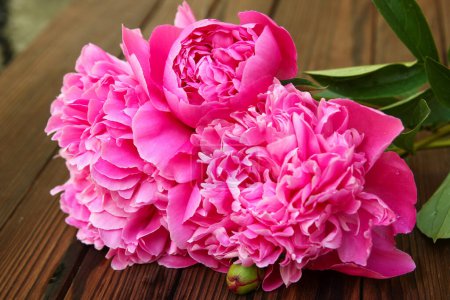 Téléchargez les photos : Peonies flowers on wooden background concept mothers day - en image libre de droit