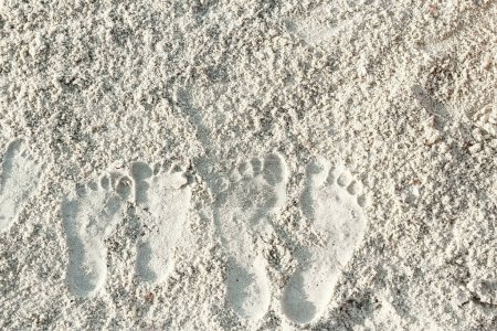 Téléchargez les photos : Belles empreintes dans le sable par le fond de la mer - en image libre de droit