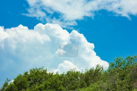 Téléchargez les photos : Un beau ciel au bord de la mer dans la nature fond - en image libre de droit