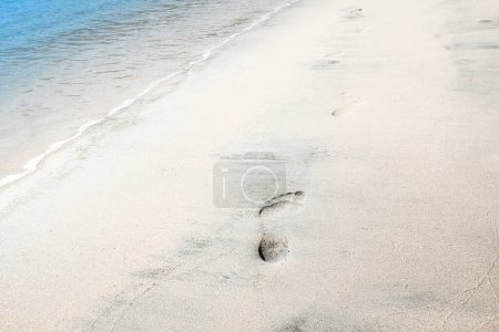 Foto de Hermosas huellas en la playa en la naturaleza junto al mar - Imagen libre de derechos