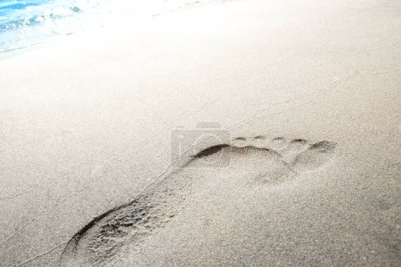 Photo for Beautiful footprints on the beach in nature by the sea - Royalty Free Image
