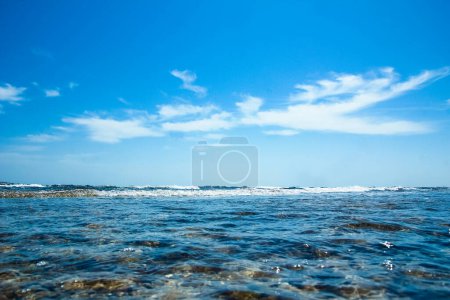 Téléchargez les photos : Belles vacances au bord de la mer sur fond de paysage naturel - en image libre de droit