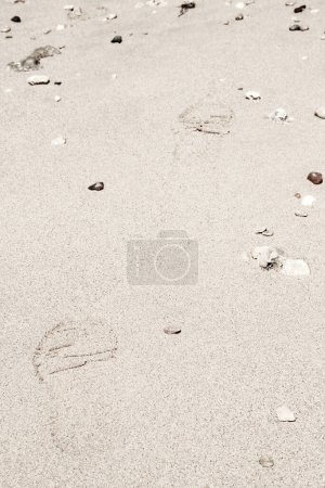 Téléchargez les photos : Belles empreintes dans le sable mer nature fond - en image libre de droit