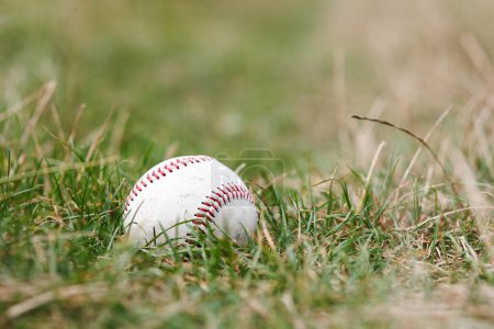 Téléchargez les photos : Concept balle de baseball dans la nature dans le parc sur le terrain - en image libre de droit