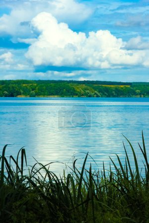 Téléchargez les photos : Belle nature près de la rivière avec fond de ciel - en image libre de droit
