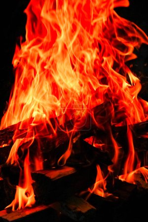 Photo for Fire with coals and fire on nature picnic background. Burns out a bonfire for food on the street - Royalty Free Image