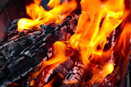 Foto de Fuego con carbones y fuego en el fondo del picnic de la naturaleza. Quema una hoguera por comida en la calle - Imagen libre de derechos