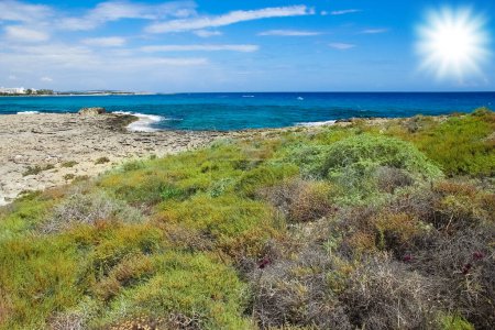 Téléchargez les photos : Belle nature de Chypre près de la mer en plein air - en image libre de droit