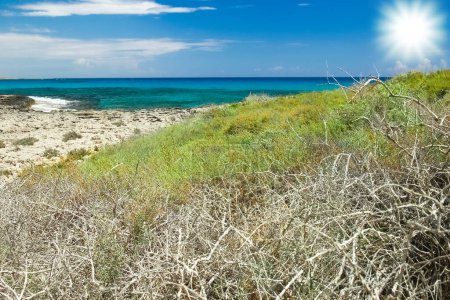 Foto de Hermosa naturaleza de Chipre cerca del mar al aire libre - Imagen libre de derechos