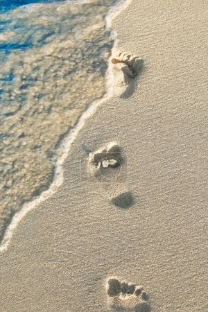 Téléchargez les photos : Belles empreintes dans le sable près de la mer sur fond de nature - en image libre de droit
