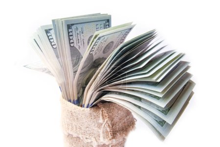 Téléchargez les photos : Business Dollar argent dans un sac sur un fond blanc - en image libre de droit