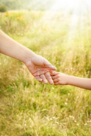 Téléchargez les photos : Mains du parent et de l'enfant dans la nature - en image libre de droit