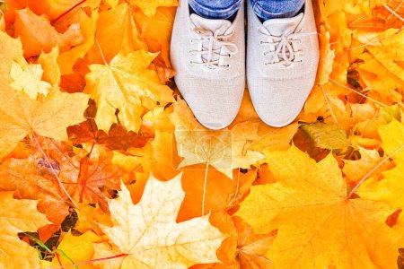 Photo for Feet on the background of leaves in autumn on a background of the summer - Royalty Free Image