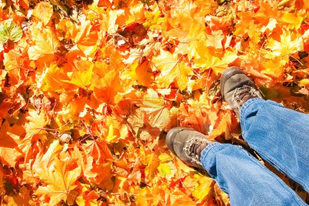 Téléchargez les photos : Pieds sur le fond des feuilles en automne sur un fond d'été - en image libre de droit