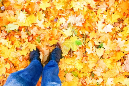 Téléchargez les photos : Pieds sur le fond des feuilles en automne sur un fond d'été - en image libre de droit