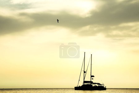 Téléchargez les photos : Beautiful yacht sailing in the sea silhouette background - en image libre de droit