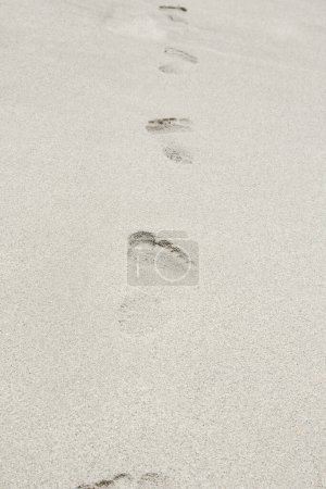 Photo for Beautiful footprints in the sand near the sea on nature background - Royalty Free Image