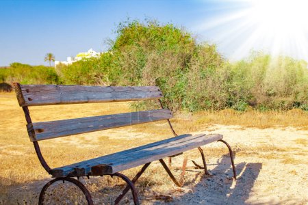 Photo for Beautiful bench near the sea shore on nature background - Royalty Free Image