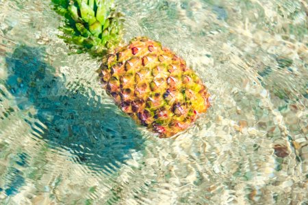 Photo for Pineapple in the water by the sea in nature weekend travel - Royalty Free Image