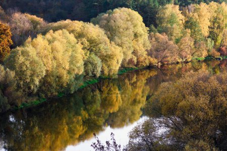 Téléchargez les photos : Vue arbres automne parc nature saison - en image libre de droit