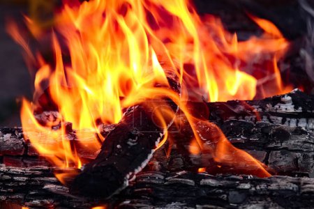 Foto de Fuego con carbones y fuego en el fondo del picnic de la naturaleza. Quema una hoguera por comida en la calle - Imagen libre de derechos