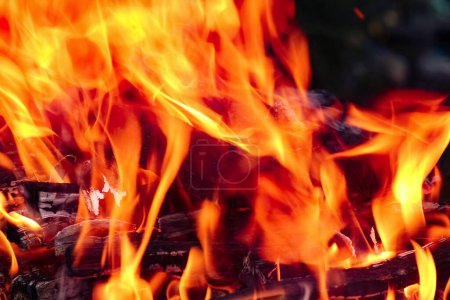 Téléchargez les photos : Feu avec des charbons et feu sur fond de pique-nique nature. Brûle un feu de joie pour la nourriture dans la rue - en image libre de droit