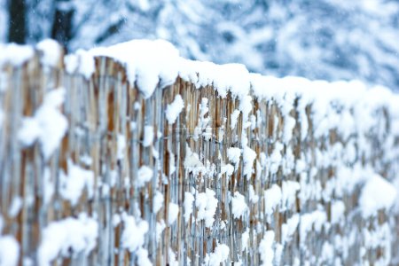 Téléchargez les photos : Clôture d'hiver sur la nature dans le fond du parc - en image libre de droit