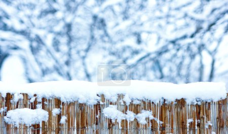 Téléchargez les photos : Clôture d'hiver sur la nature dans le fond du parc - en image libre de droit