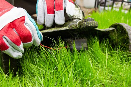 Photo for Man and lawnmower grass in the garden - Royalty Free Image