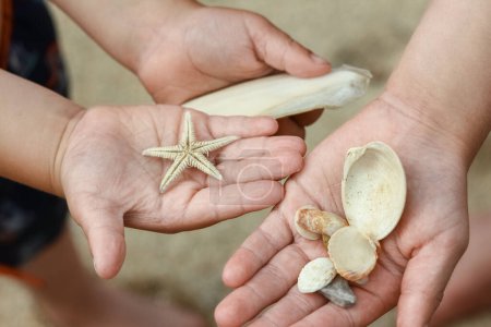 Foto de En las manos de los niños felices conchas en la naturaleza por el fondo del mar - Imagen libre de derechos