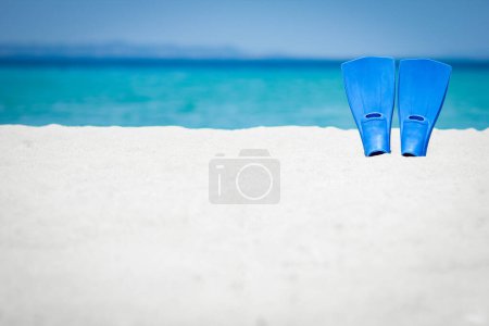 Photo for Flippers on the sand of the sea coast travel background - Royalty Free Image