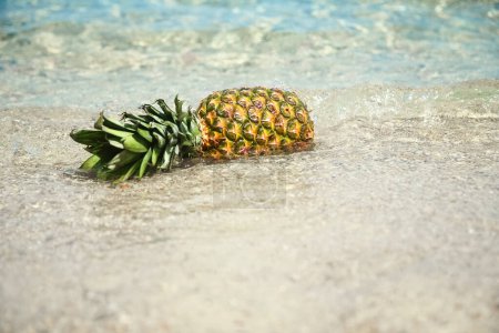 Téléchargez les photos : Ananas dans l'eau par la mer dans la nature week-end Voyage - en image libre de droit