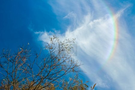 Photo for Beautiful sky with rainbow on nature in air background - Royalty Free Image