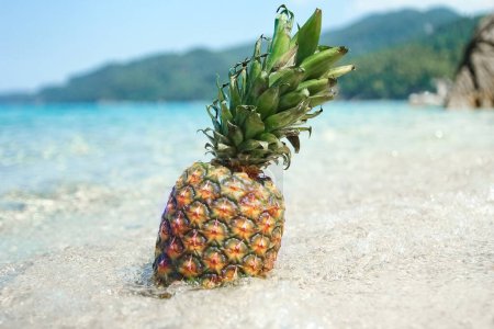 Téléchargez les photos : Ananas dans l'eau par la mer dans la nature week-end Voyage - en image libre de droit