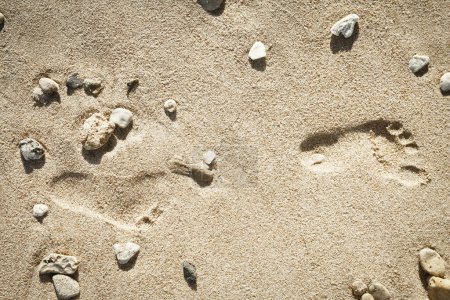 Téléchargez les photos : Belles empreintes dans le sable mer nature fond - en image libre de droit