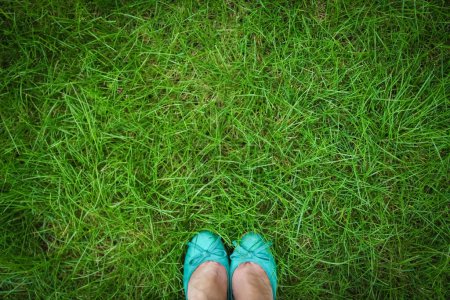 Téléchargez les photos : Belles jambes sur l'herbe dans le parc d'été - en image libre de droit