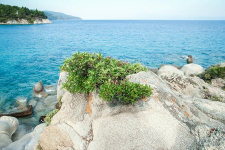 beautiful sea with shore on nature background