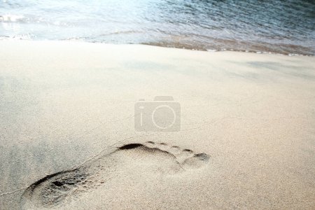 Téléchargez les photos : Belles empreintes de pas sur la plage dans la nature par la mer - en image libre de droit