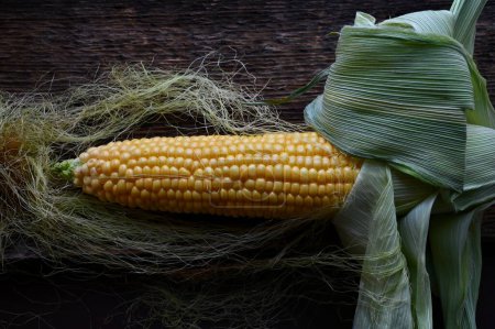 Foto de Primer plano de maíz orgánico y colorido. Bellas artes fotografía. - Imagen libre de derechos